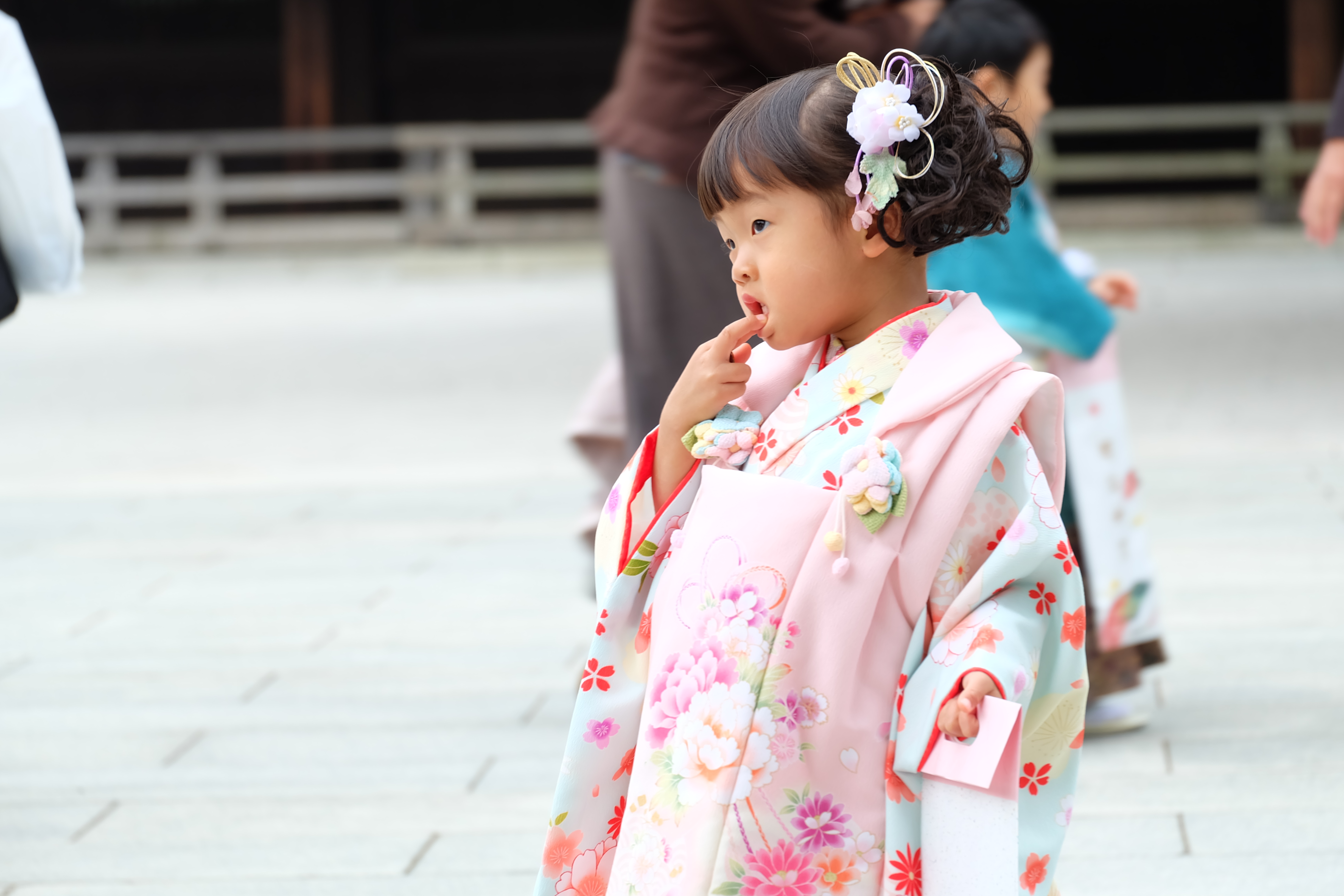 Carry It Like Harry - witness the celebration of Shichi-Go-San 七五三 Festival in Tokyo's Meiji Shrine 明治神宮