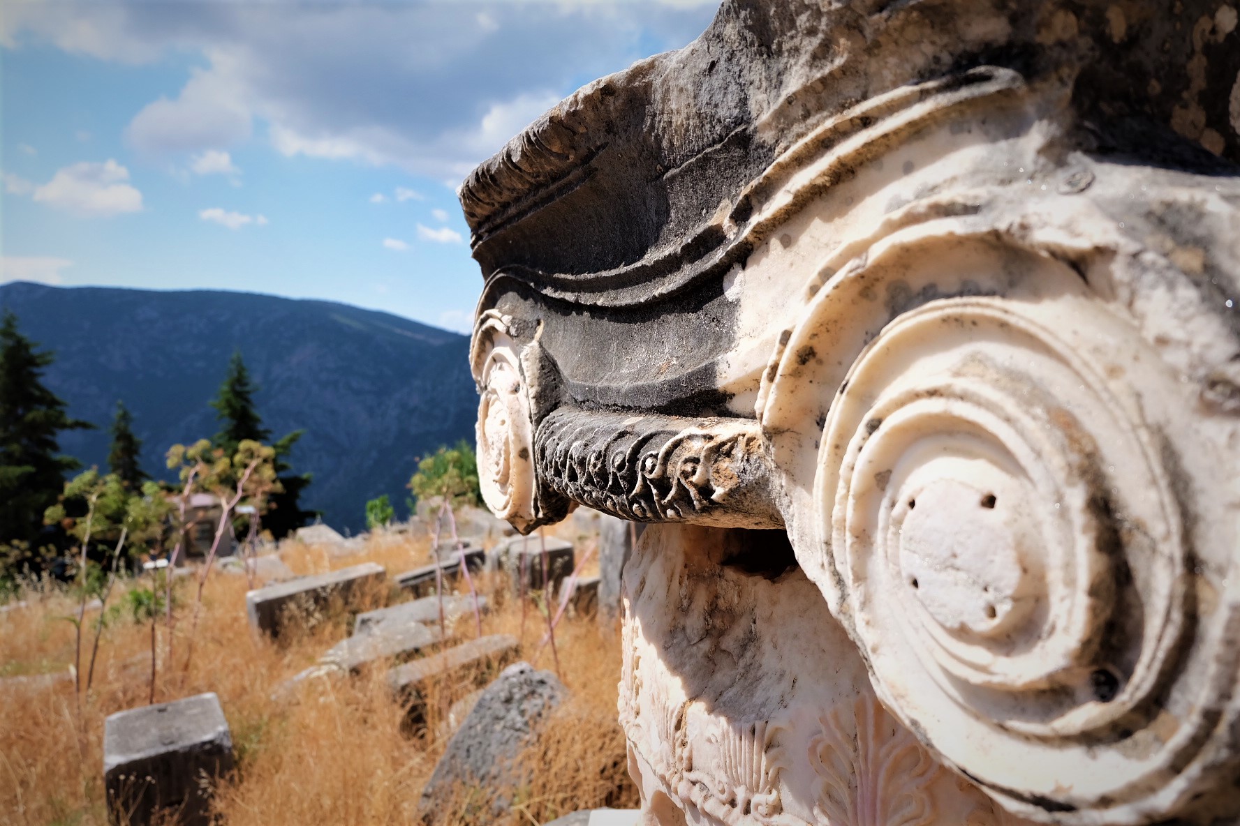 Carry It Like Harry - My Journey to Delphi, the Navel of the World