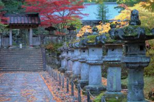 Carry It Like Harry - Why Nikko 日光 is the most magical place in Japan