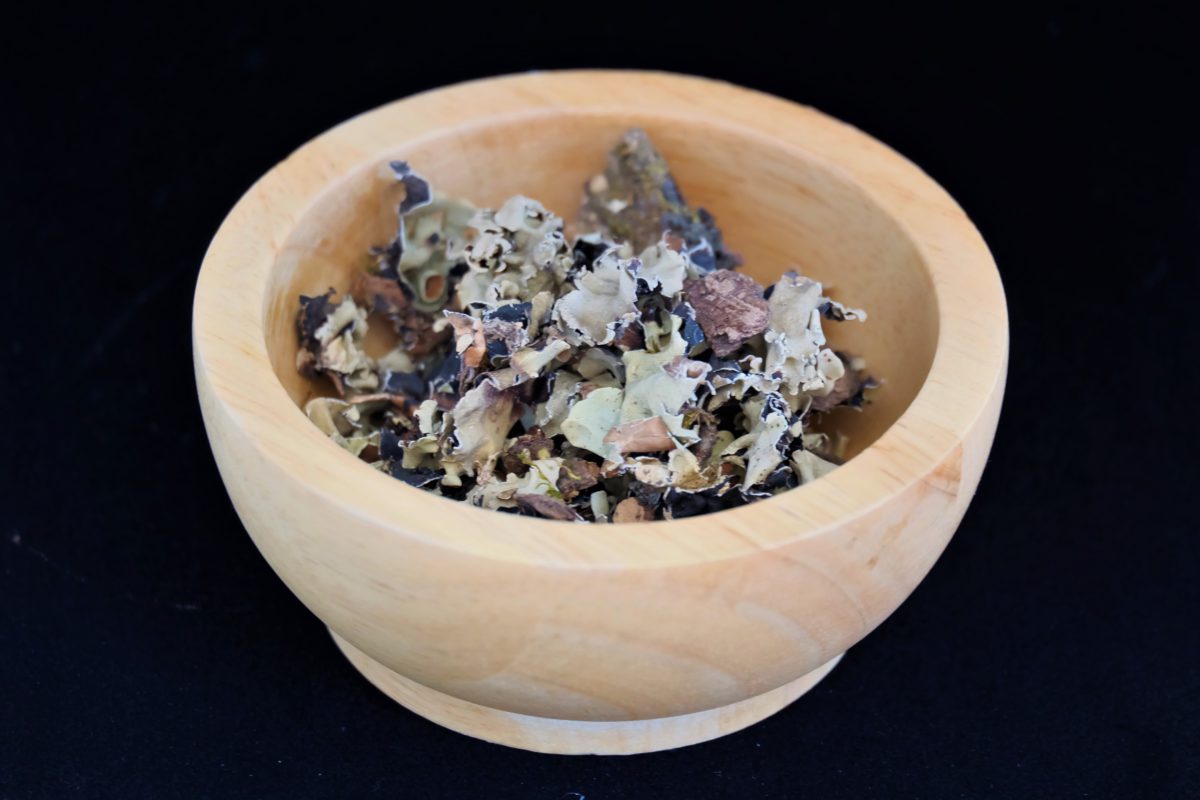 Kalpasi The Black Stone Flower spice of Southern India CARRY IT LIKE