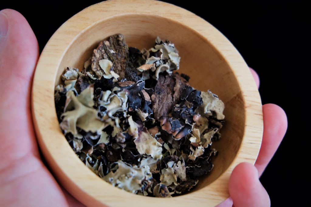 Carry It Like Harry - Kalpasi: The Black Stone Flower spice of Southern India