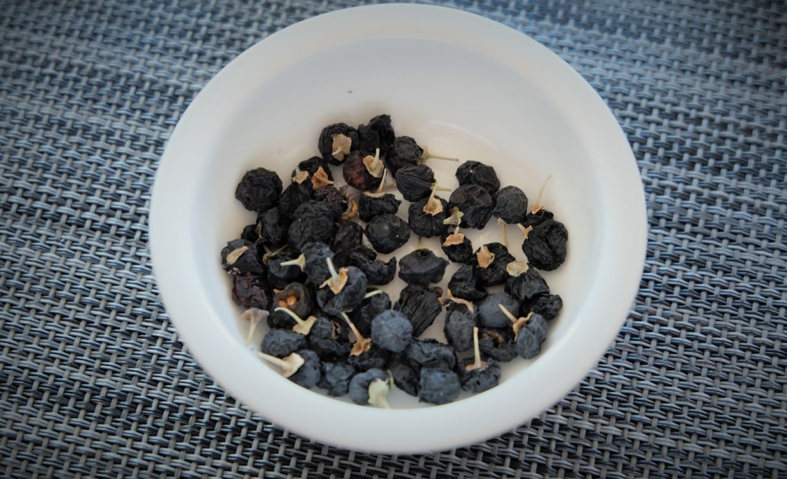 Carry It Like Harry - Meet Black Goji Berries 黑枸杞: The Most Powerful Anti-Oxidant in the World